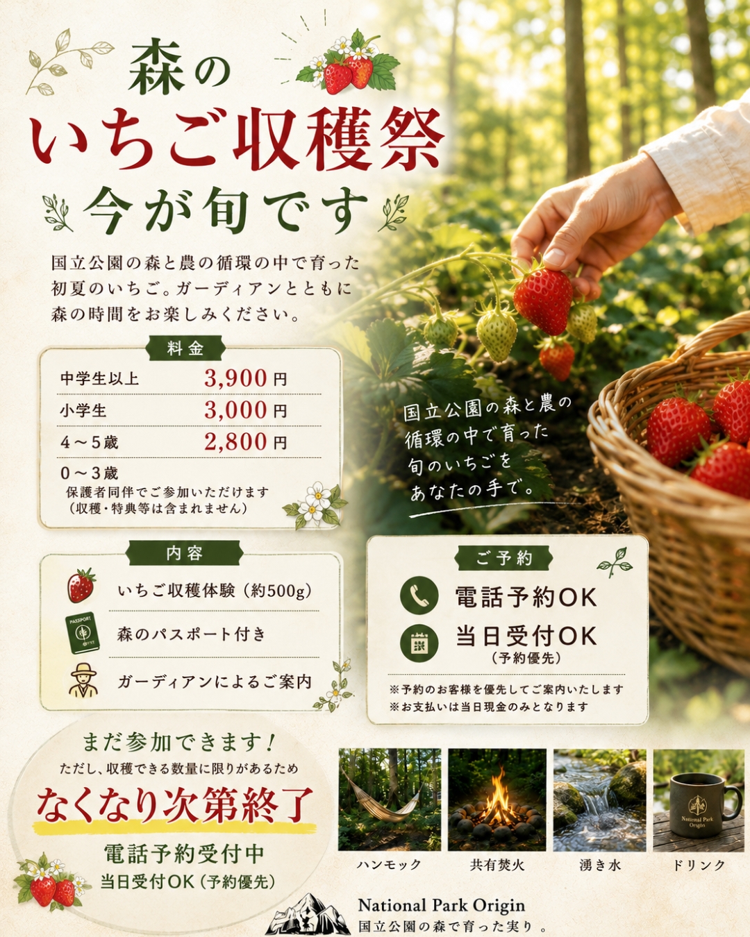 第二弾：いちご収穫祭6月25日開始