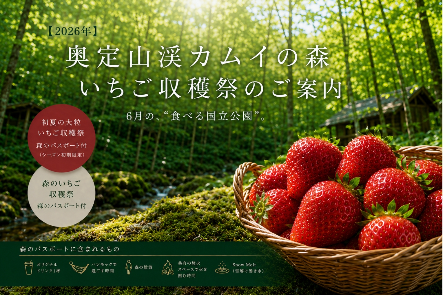 2026第一弾いちご収穫祭は6月11日スタート