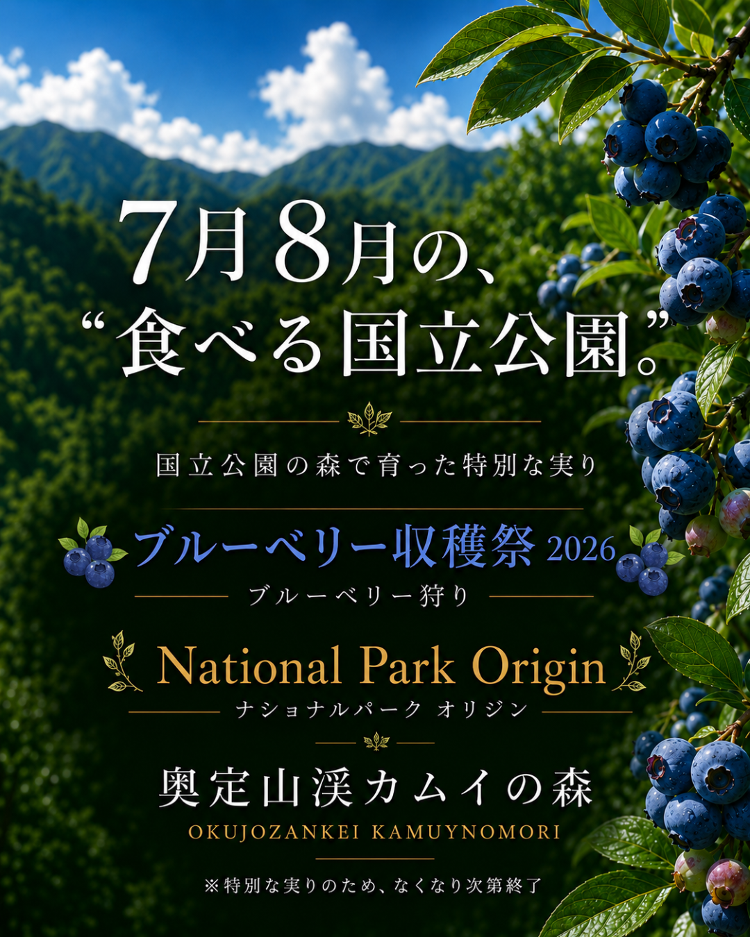 ブルーベリー収穫祭